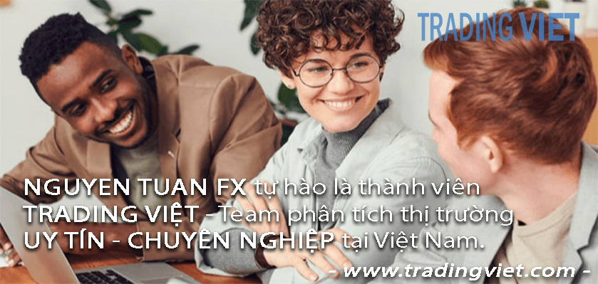 trading-viet-tin-tuc-forex-usd-phai-sinh-vang-nguyen-tuan-fx-3